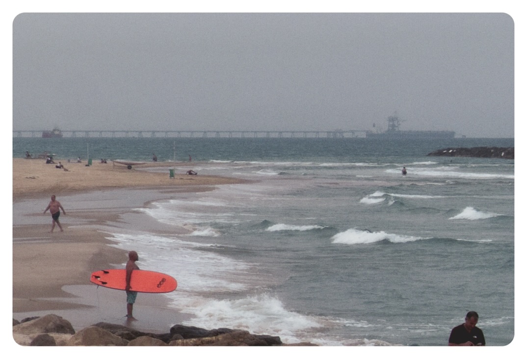 surf